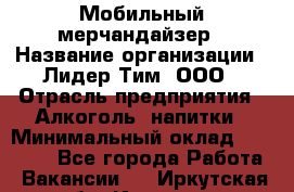 Мобильный мерчандайзер › Название организации ­ Лидер Тим, ООО › Отрасль предприятия ­ Алкоголь, напитки › Минимальный оклад ­ 19 500 - Все города Работа » Вакансии   . Иркутская обл.,Иркутск г.